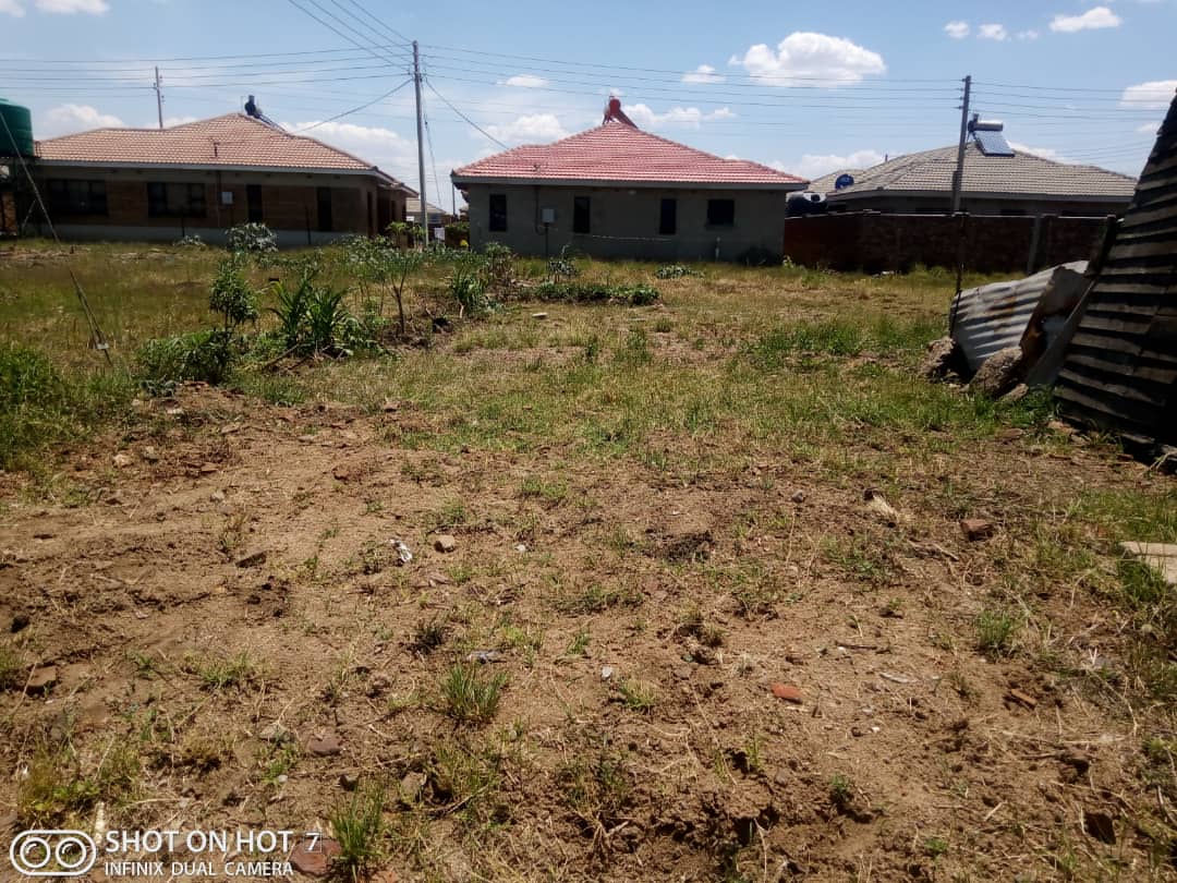 Madokero Stand For Sale 